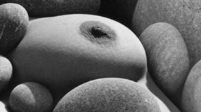 © Lucien Clergue Conférences Reg'Art