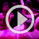 TUTU - Chicos Mambo part.2
