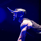Raging Bull © Leclerc & cielat