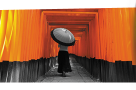 Japon, L’Empire des sens © Maximilien Dauber